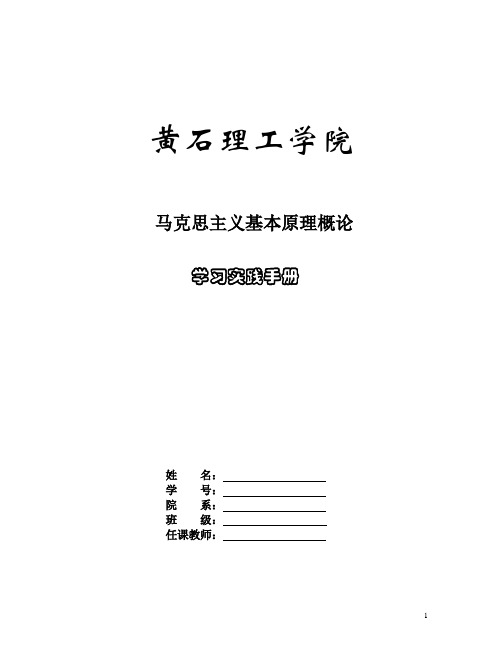 马克思主义基本原理概论实践手册