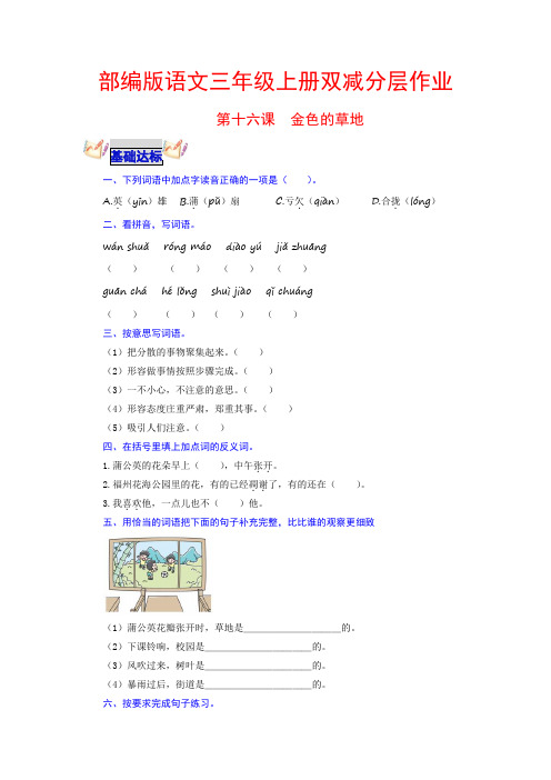 第16课 金色的草地 部编版语文三年级上册双减分层作业 含答案