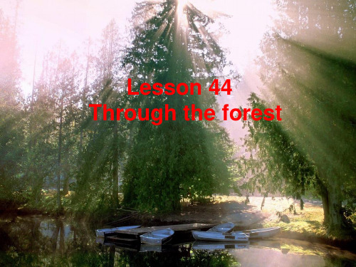 新概念第二册第44课课件Lesson 44 Through the forest