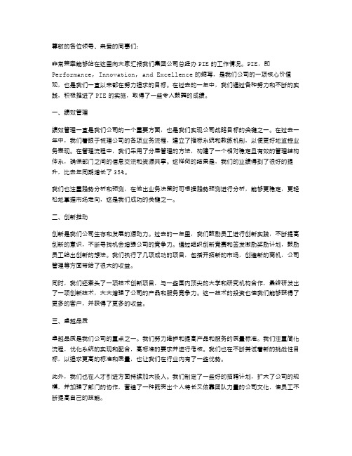 集团公司总经办PIE的述职报告