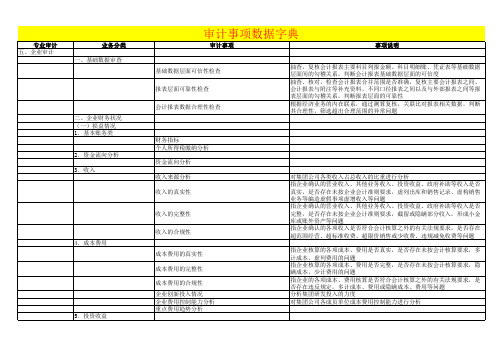 审计事项数据字典