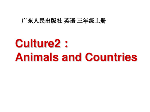 三年级上册英语Culture 2 Animals and Countries 广东开心英语