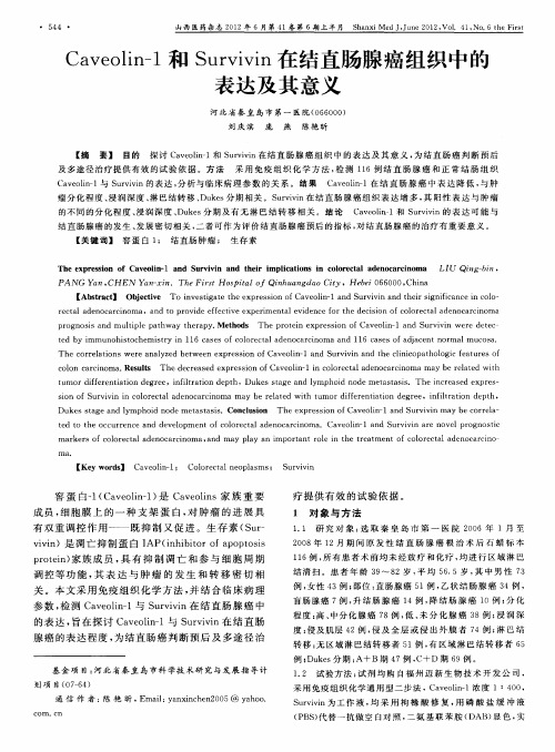 Caveolin-1和Survivin在结直肠腺癌组织中的表达及其意义