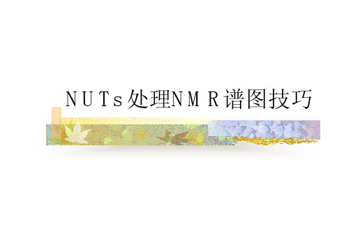 NUTs处理NMR谱图技巧