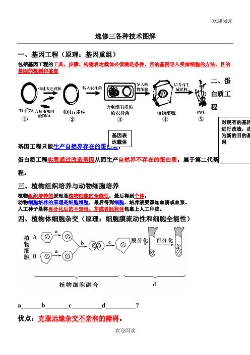 新高中生物选修三技术图解