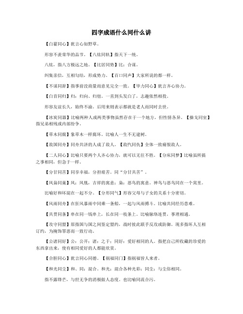 四字成语什么同什么讲