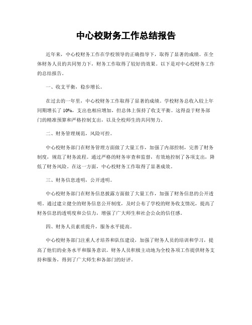 中心校财务工作总结报告