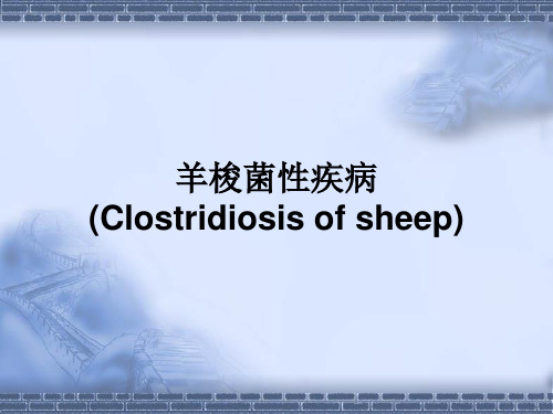 羊梭菌性疾病(Clostridiosisofsheep)