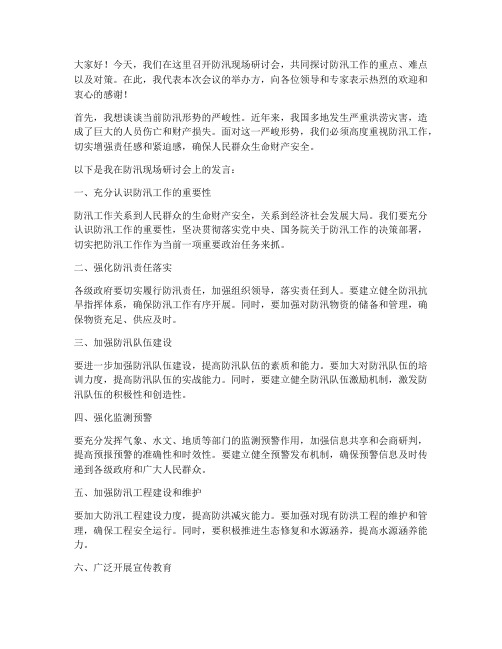 防汛现场研讨会发言稿范文