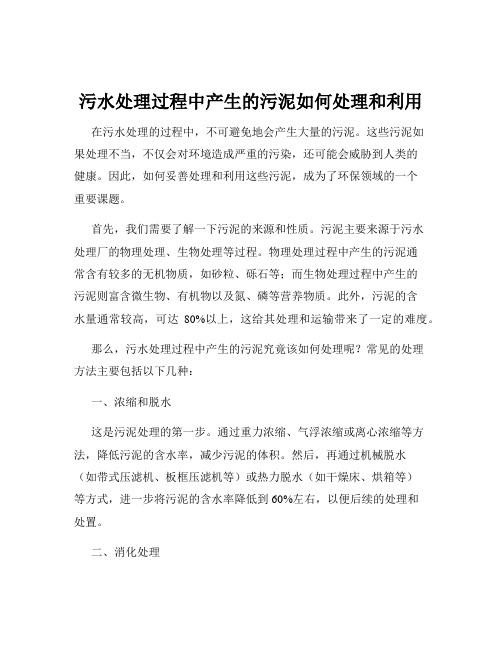 污水处理过程中产生的污泥如何处理和利用