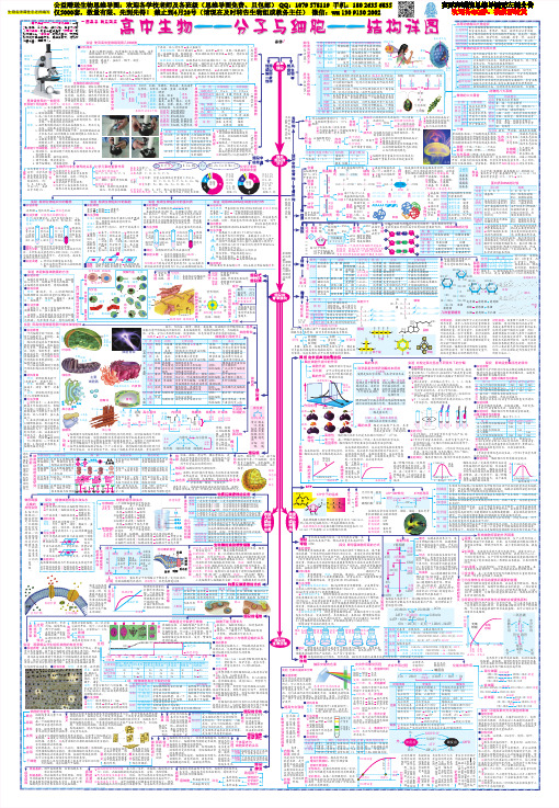 衡水中学2020高考思维导图(公益赠送5000套)