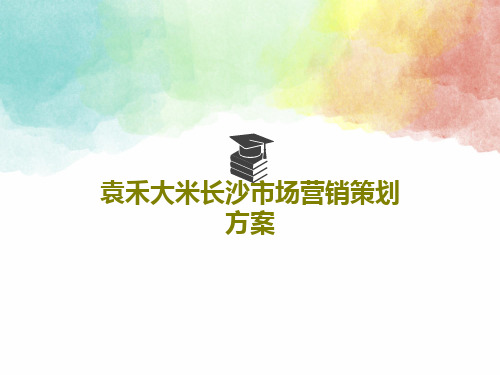 袁禾大米长沙市场营销策划方案共24页文档