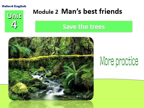 牛津深圳版七年级英语下Module 2 Unit 4 Save the trees---more practice教学课件共17张PPT