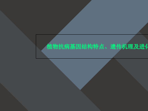 植物抗病基因结构特点、遗传机理及进化