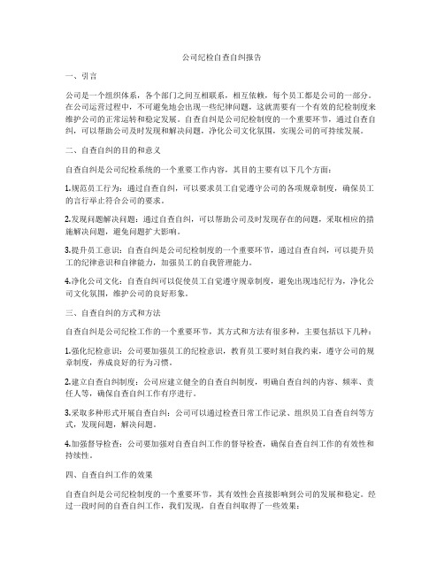 公司纪检自查自纠报告