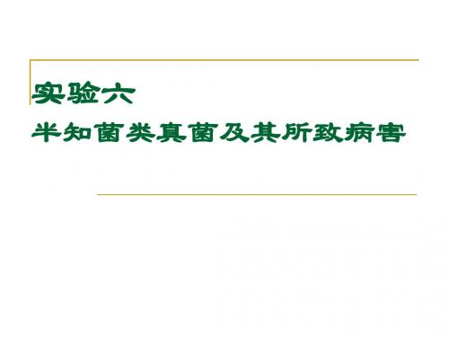 植物病理学实验实验六、半知菌类真菌及其所致病害