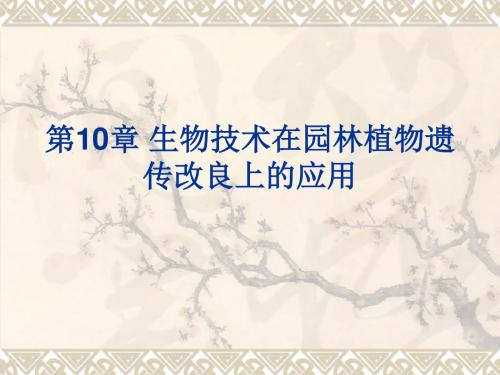 园林植物花卉育种学ppt课件第10章 生物技术在园林植物育种遗传改良上的应用