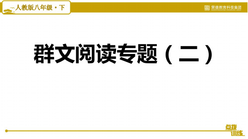 部编版八年级语文下册《群文阅读专题(二)》