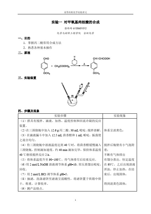 高等有机化学实验报告