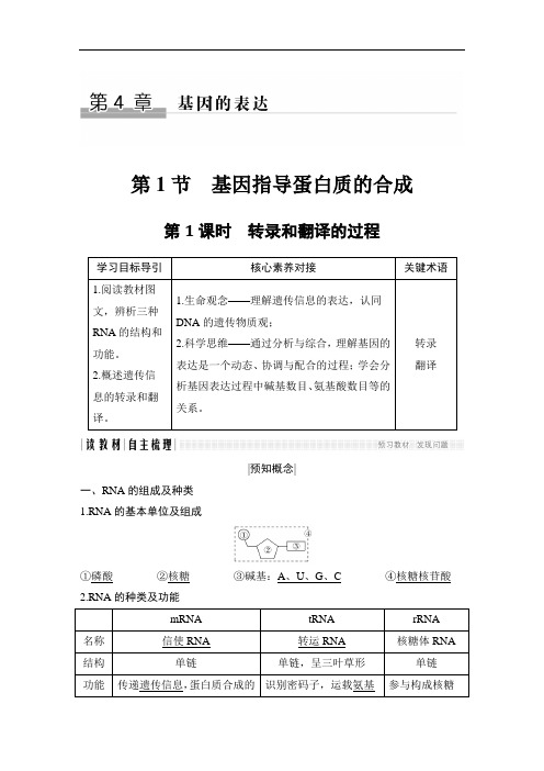 2018-2019学年人教版必修2 第4章 第1节 第1课时 转录和翻译的过程 学案