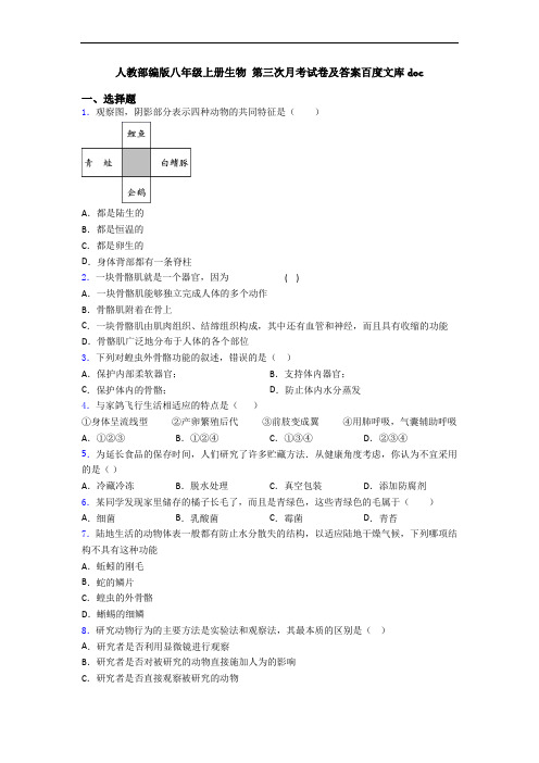 人教部编版八年级上册生物 第三次月考试卷及答案百度文库doc