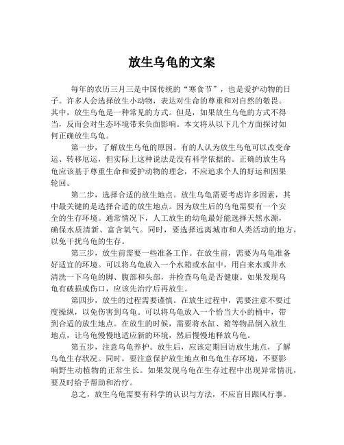 放生乌龟的文案