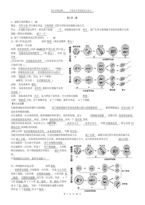 高中生物必修二学业水平考试知识点复习