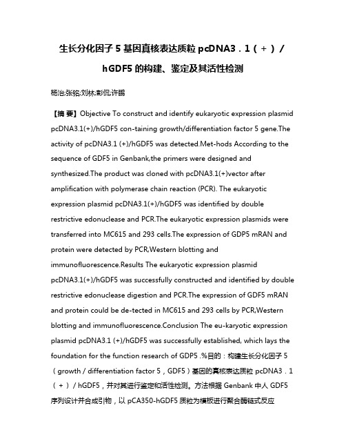 生长分化因子5基因真核表达质粒pcDNA3．1（＋）／hGDF5的构建、鉴定及其活性检测