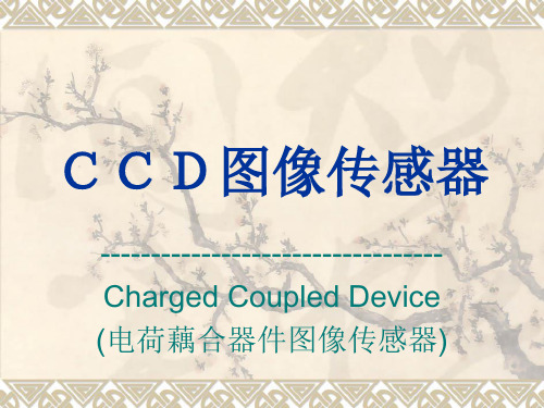 ccd图像传感器基础知识精讲【可编辑的PPT文档】