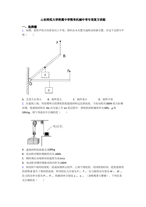 山东师范大学附属中学简单机械中考专项复习训练