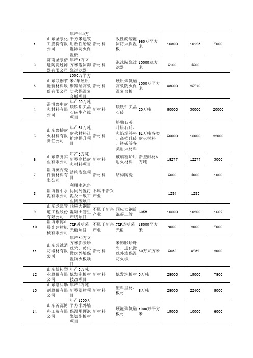 2013年山东省重点建设项目--建材