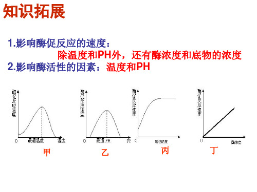 探究影响酶活性的因素实验设计