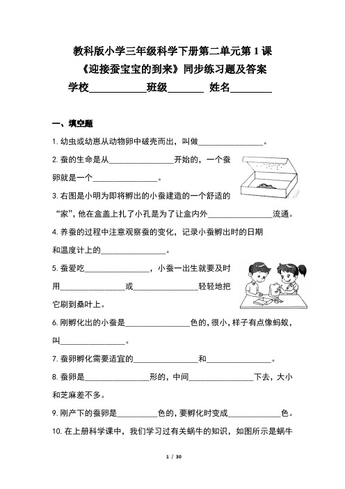 教科版小学三年级科学下册第二单元全套每课同步练习题及答案汇编(含八套题)