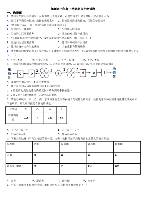 扬州市七年级上学期期末生物试题