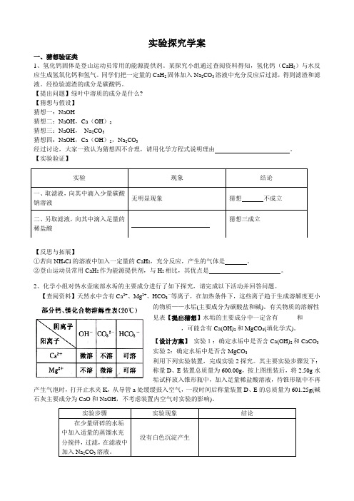 初三化学实验探究学案