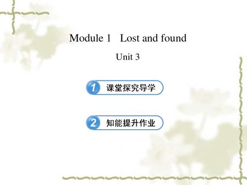 新外研版七下 Module 1 Lost and found Unit 3课件