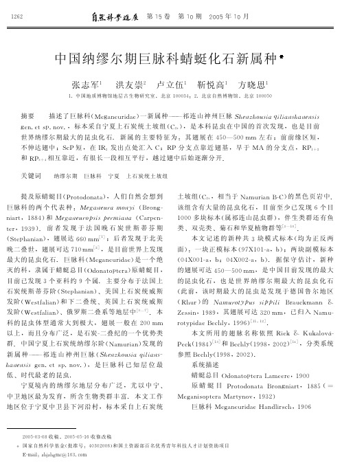 中国纳缪尔期巨脉科蜻蜓化石新属种.pdf