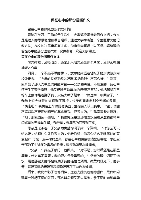 留在心中的那份温暖作文（4篇）