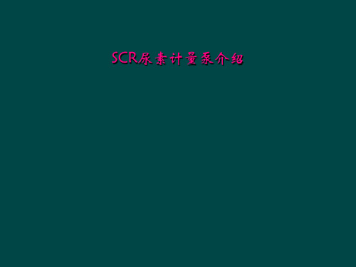 SCR尿素计量泵介绍