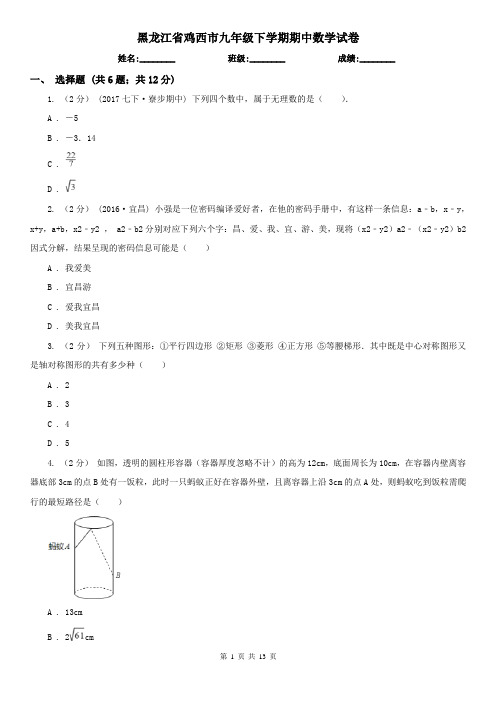 黑龙江省鸡西市九年级下学期期中数学试卷