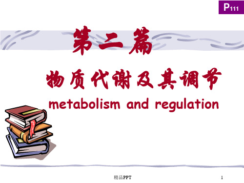 糖代谢教学课件