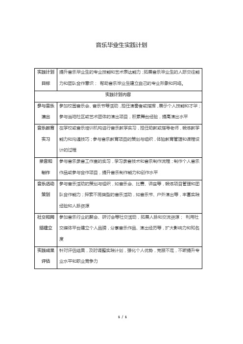 音乐毕业生实践计划