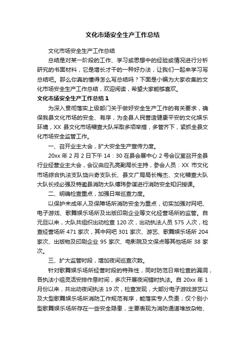 文化市场安全生产工作总结