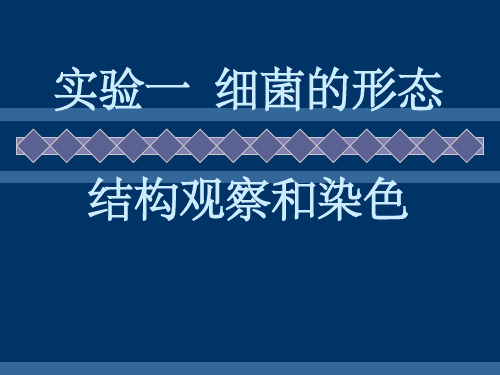 细菌的形态结构观察和染色