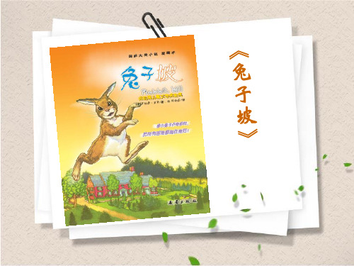 三(4)班《兔子坡》导读课件