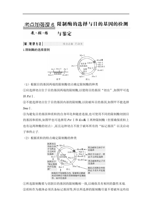 [2020高考生物复习江苏]考点加强课6 限制酶的选择与目的基因的检测与鉴定