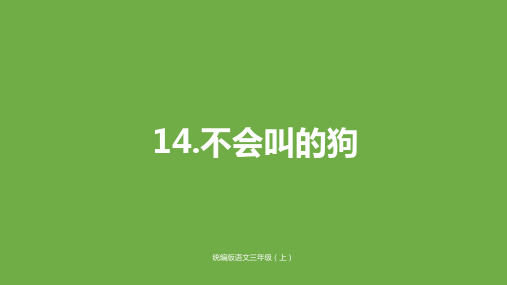 部编版三年级语文上《不会叫的狗》优秀ppt课件1