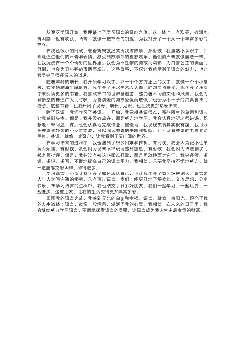 我学习的语言之旅