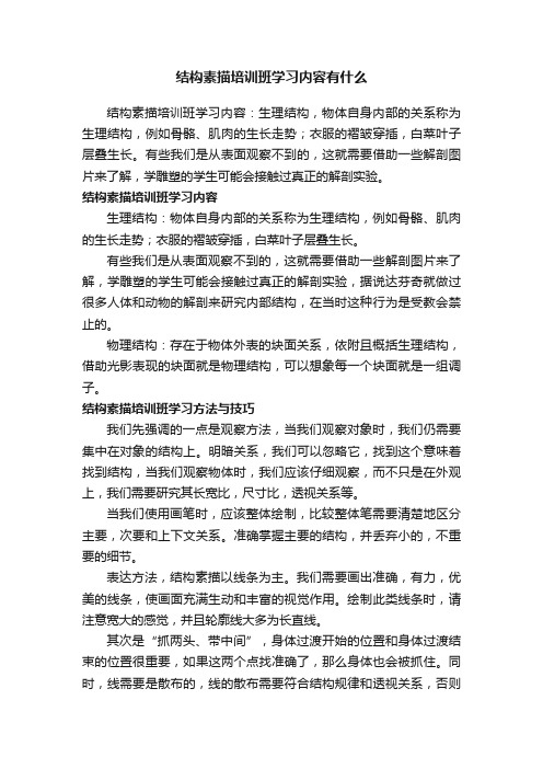 结构素描培训班学习内容有什么