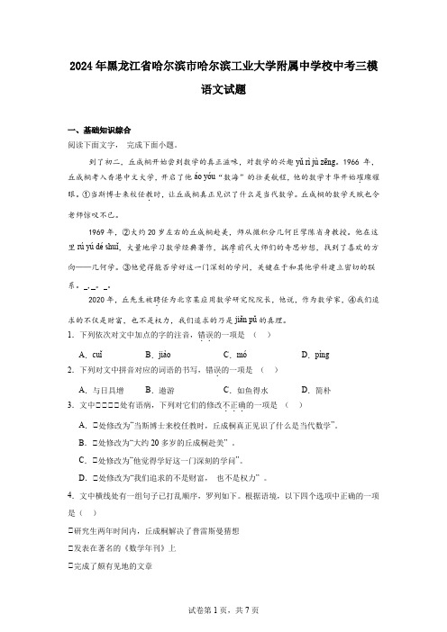 2024年黑龙江省哈尔滨市哈尔滨工业大学附属中学校中考三模语文试题